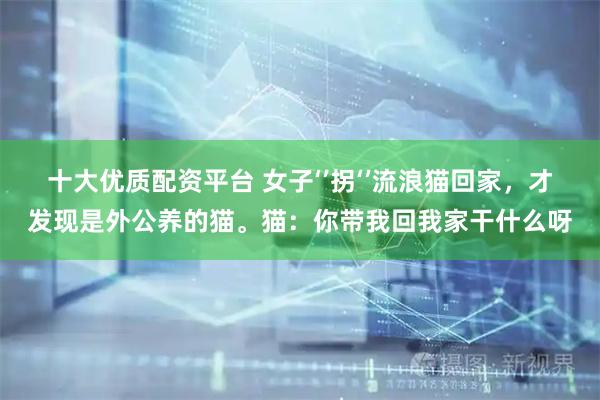 十大优质配资平台 女子‘’拐‘’流浪猫回家，才发现是外公养的猫。猫：你带我回我家干什么呀